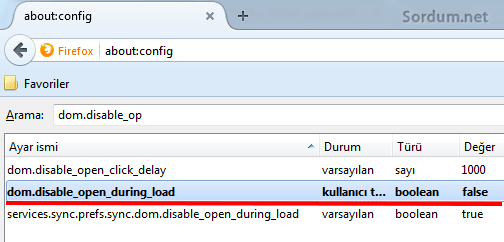 Firefox dom.disable false