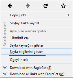 firefox sayfa bilgisi