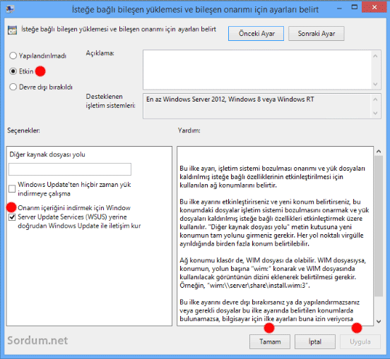 gpedit framework kurulum etkin