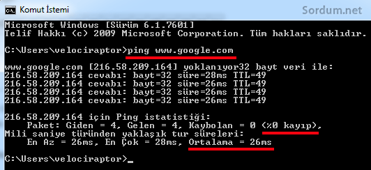 ping sonucu