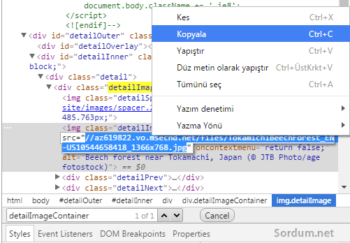detail image linkini kopyala
