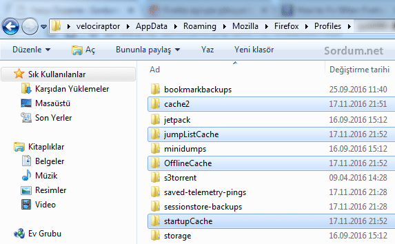 silinecek firefox profil dosyalari