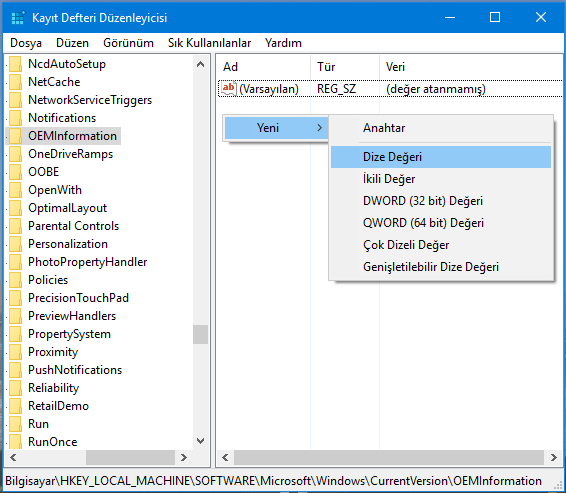 Registryde yeni dize değeri