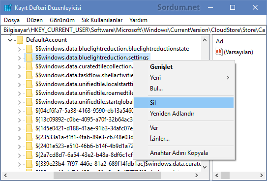 gece ışığı ayarlarını sıfırlama registry kaydı