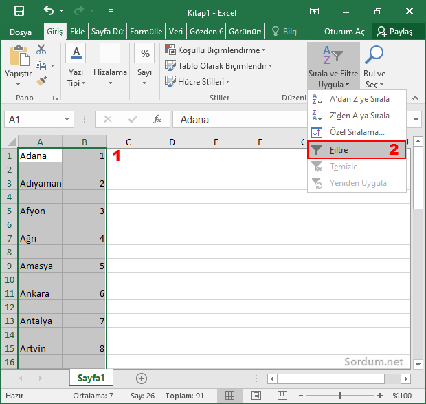 Excel seçim filitresi