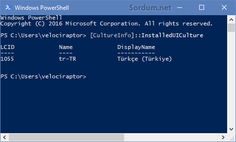 powershell ile varsayılan windows dilini bulma