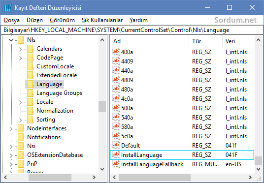 Registry ile windows kurulum dilini bulma