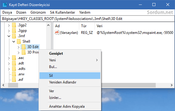 Registry 3D edit sil