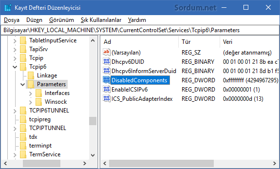 Registryden ipv6 devre dışı bırakma