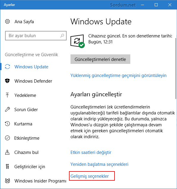 windows update gelişmiş