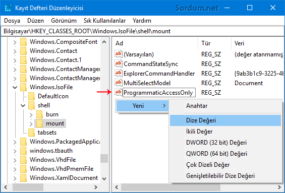 prgorammaticaccessonly registry değeri