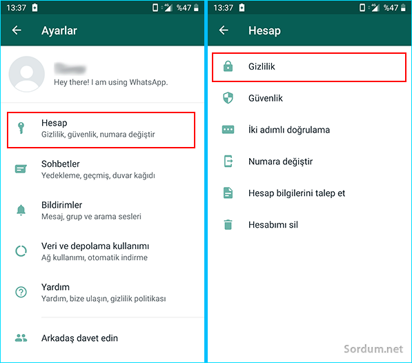 WhatsApp hesap ve gizlilik