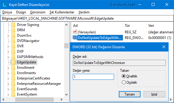 Edge chromium kurulumunu registryden engellemek