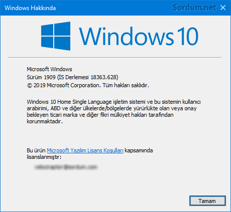 winver çıktısı