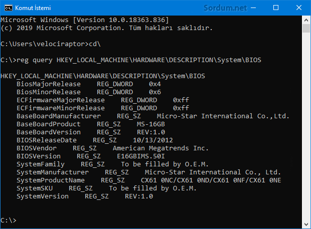 Cmd komutu ile registryden BIOS bilgilerini çek