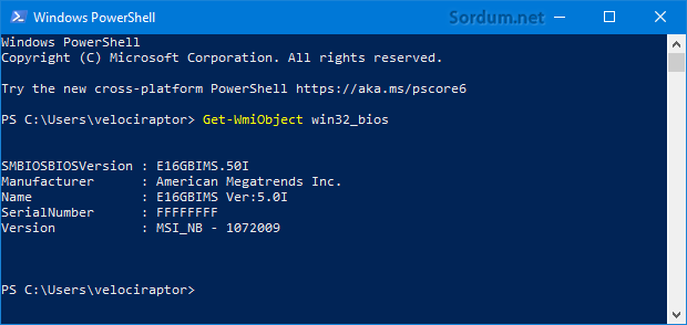 Powershell komutu ile BIOS sürümünü bul