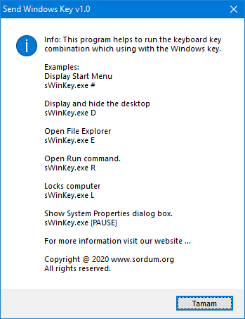 Send Windows key main