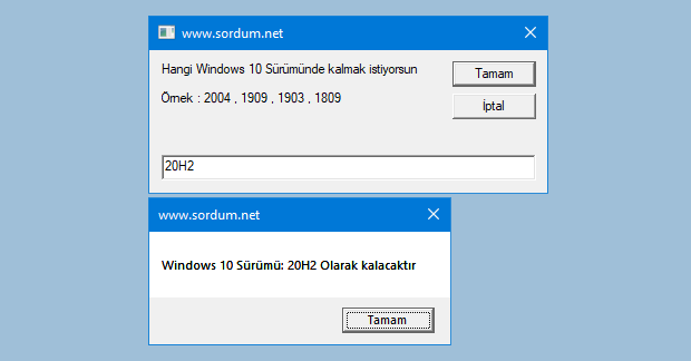 Windows 10 Sürümü güncellemesin