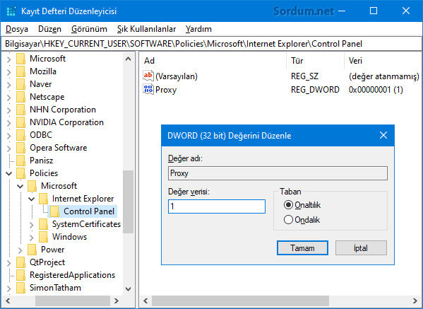 Registry ile Proxy ayarlarını yasakla