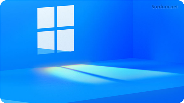 Windows 11