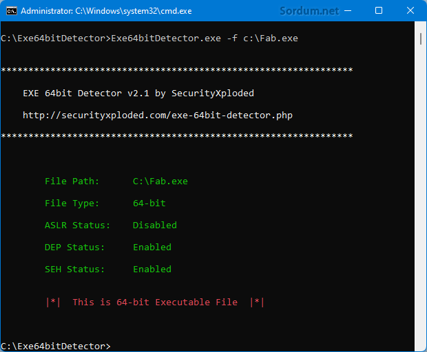 Exe 64bit detector