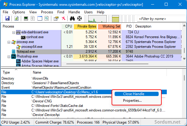 Process Explorer Close handle