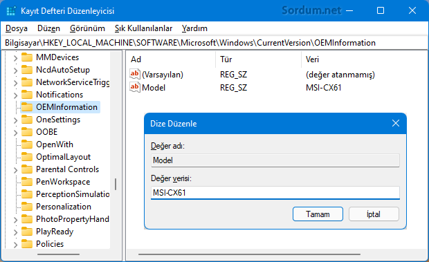 Oem bilgisi registry kaydı