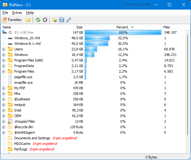 RidNacs Disk kullanım oranları