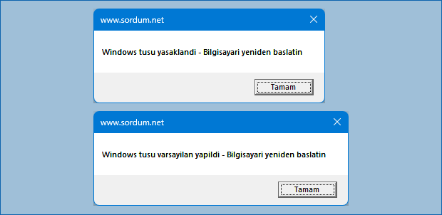 vbs ile windows tuşunu yasakla