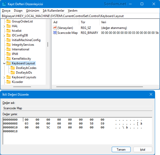 windows tuşunu devre dışı bırakıcı registry kaydı