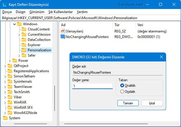 NoChangingMousePointers anahtarı