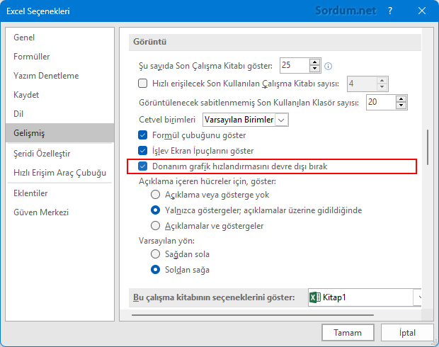 Excel Grafik Donanım hızlandırmasını kapat