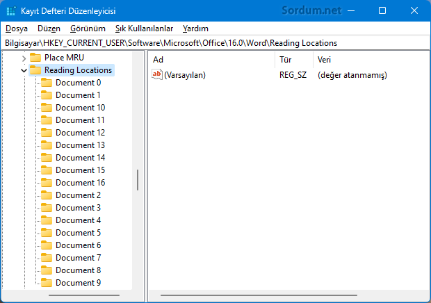 Word kaldığın yerden devam et registry kaydı