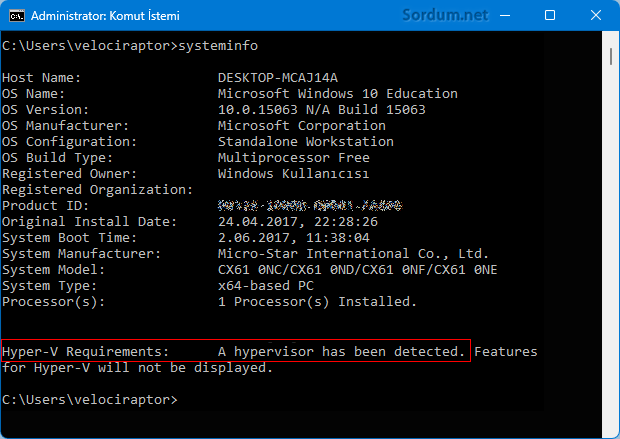Syteminfo hyper-v sorgusu