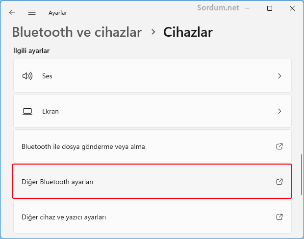 Diğer bluetooth seçenekleri