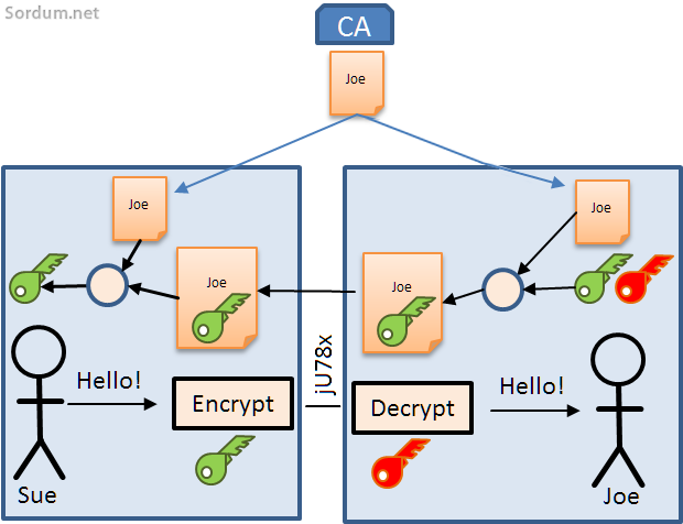 DNS over TLS