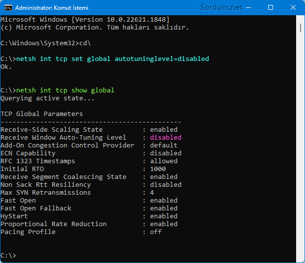 ipv6 Optimizasyonunu devre dışı bırak