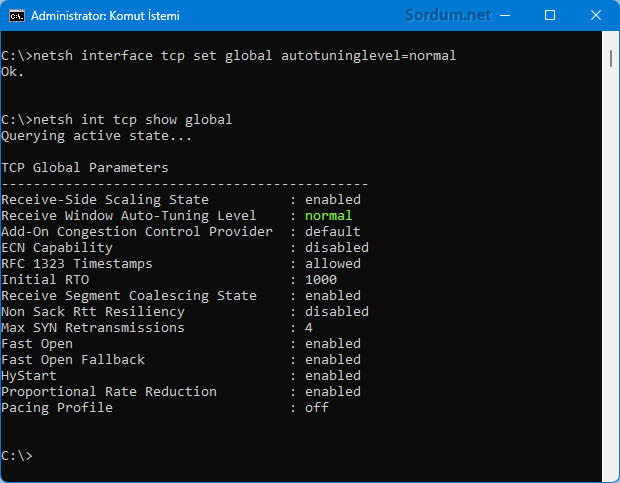 IP v6 optimiasyonu normale alındı