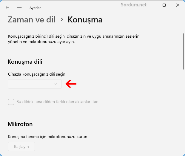 Konuşacağınız dili seçin
