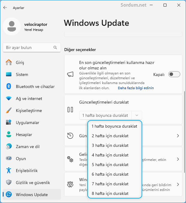Güncelleme duraklatma süresini istediğiniz kadar uzatın