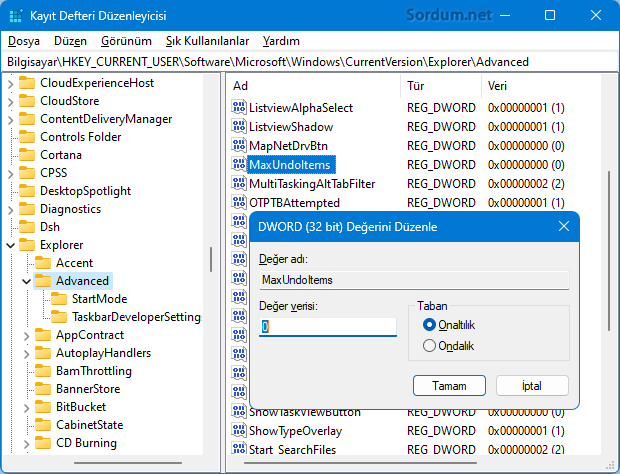 MaxUndoItems registry anahtarı