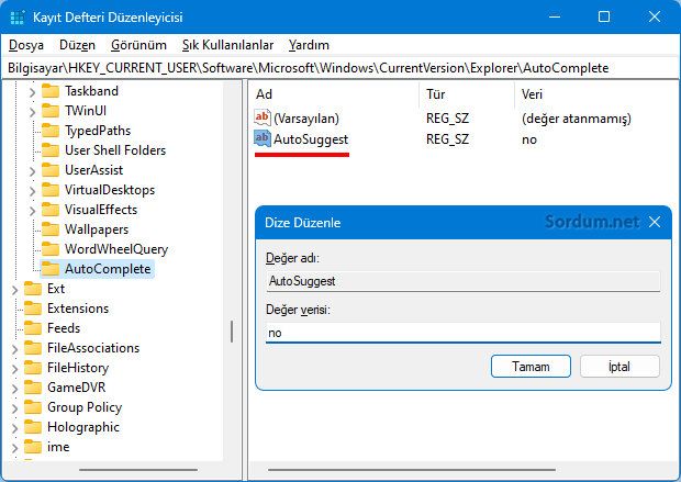 autosuggest registry anahtarı
