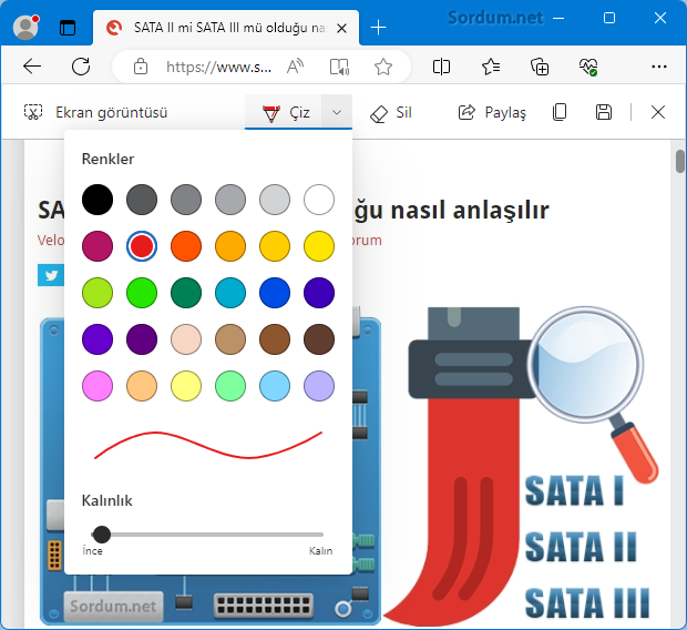 Microsoft EDGE işaretleme rengi