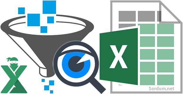 Excelde bir veya daha fazla kritere göre Filtreleme