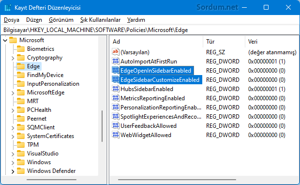 EDGE Kenar çubuğunda aç Registry kaydı