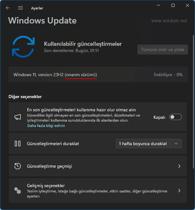 Windows Onarım sürümü indiriliyor