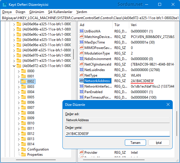 Registry den Wi-Fi MAC adresini değiştir