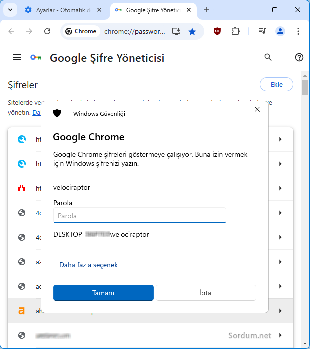 Google chrome şifrelerini görmek için Windows şifresini gör