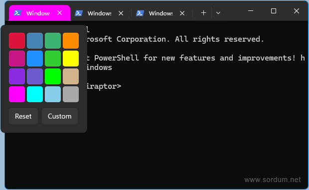 Windows Terminal sekme rengini belirle